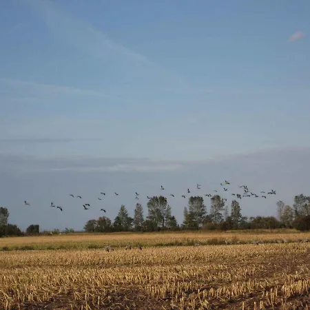 - Ostsee 2741 펜션 Gross Kordshagen