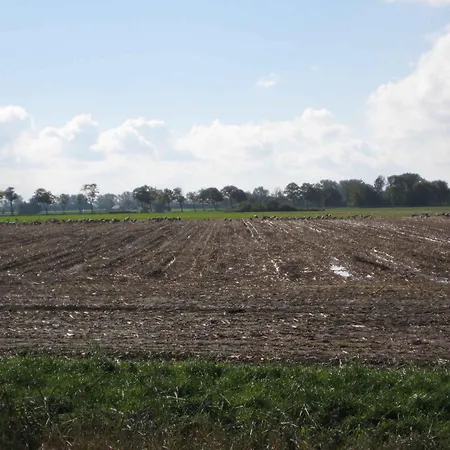 - Ostsee 2741 펜션 Gross Kordshagen