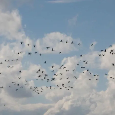 펜션 - Ostsee 2741 Gross Kordshagen