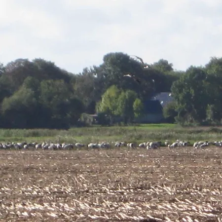 펜션 - Ostsee 2741 *