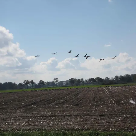 - Ostsee 2741 * Gross Kordshagen