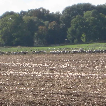 펜션 - Ostsee 2741