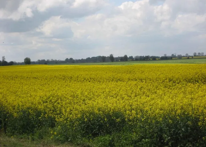 - Ostsee 2741 Semesterbostad