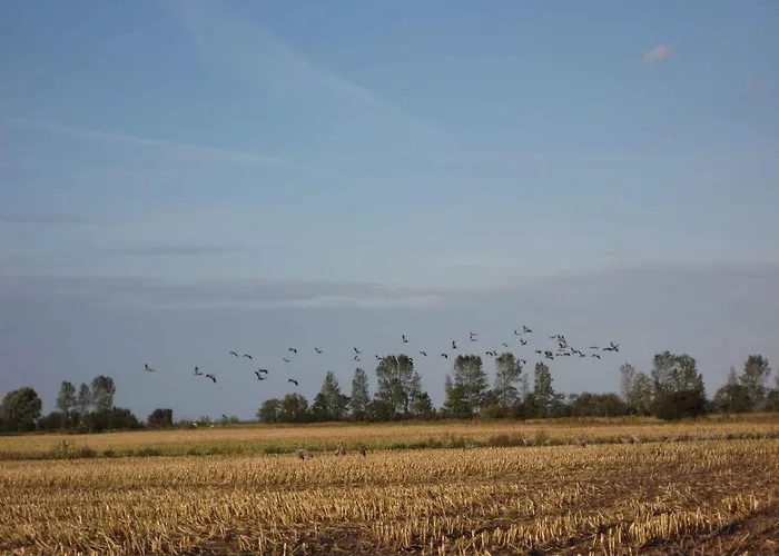 - Ostsee 2741 Semesterbostad Gross Kordshagen