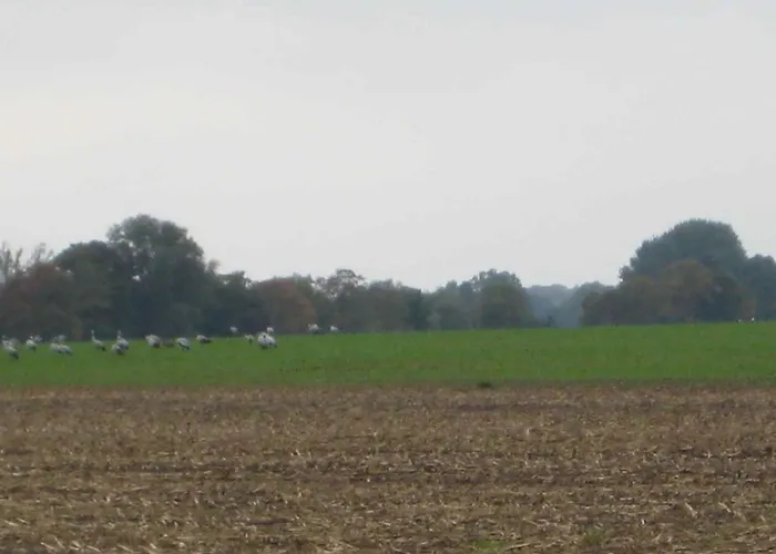 Semesterbostad - Ostsee 2741 Gross Kordshagen