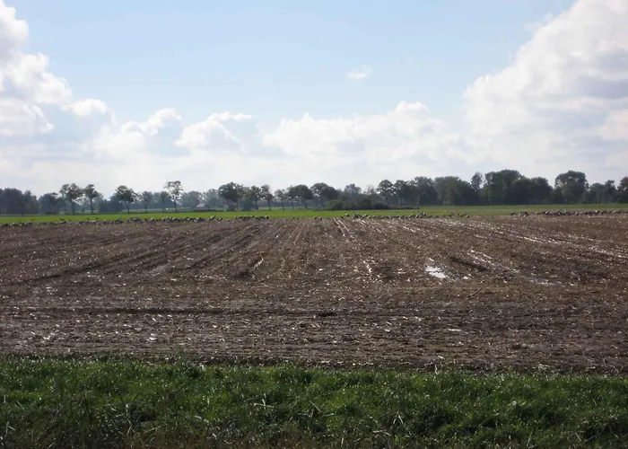 - Ostsee 2741 Semesterbostad Gross Kordshagen