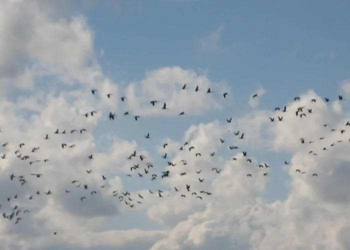 Semesterbostad - Ostsee 2741 Gross Kordshagen