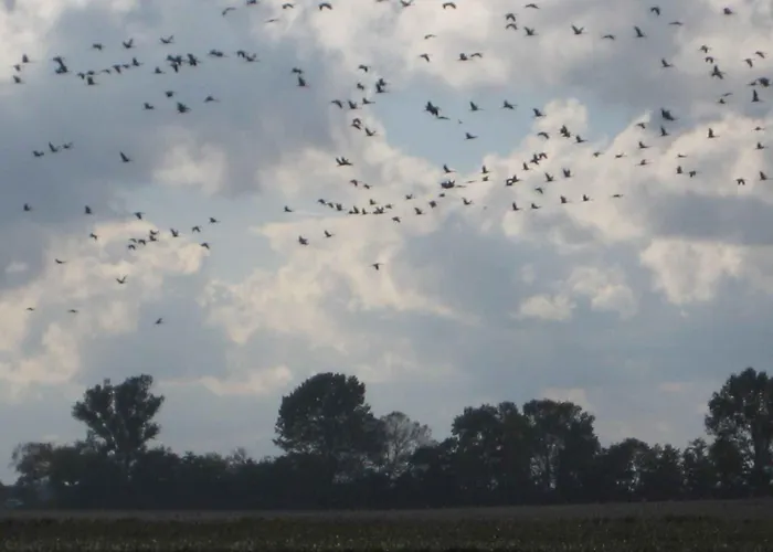 - Ostsee 2741 * Gross Kordshagen