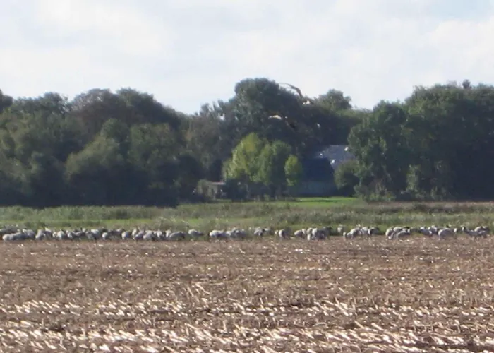 Semesterbostad - Ostsee 2741 *