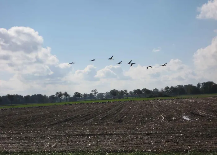 - Ostsee 2741 * Gross Kordshagen