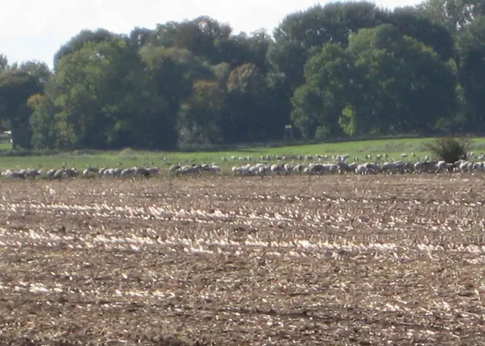 Semesterbostad - Ostsee 2741